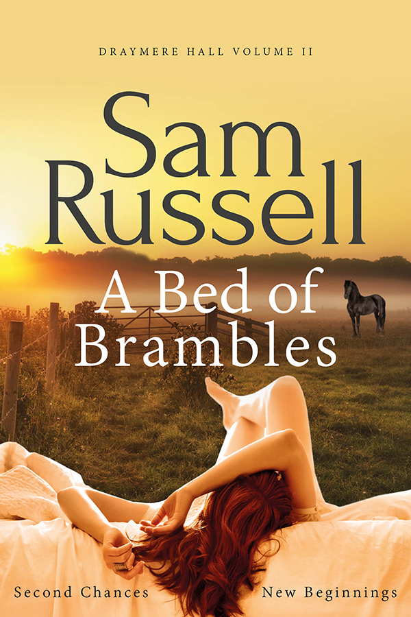 A Bed of Brambles Cover MEDIUM WEB